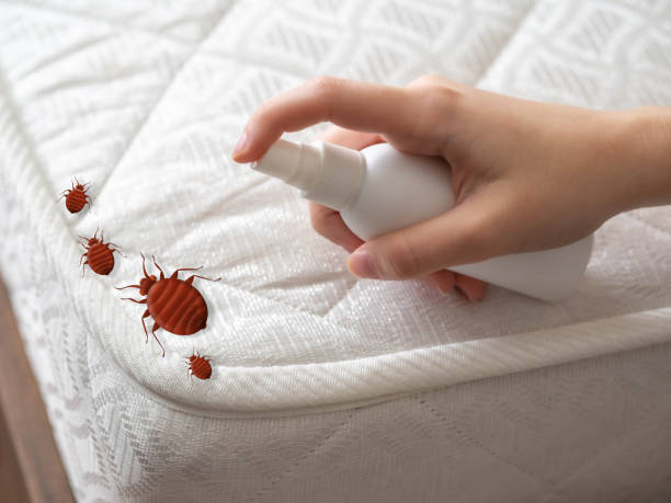 Best Pest Control for Homes  in Throop, PA
